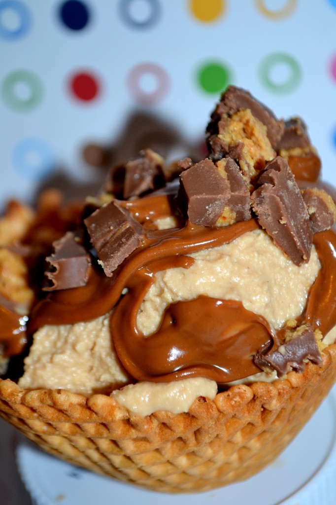 PB Crave Cookie Nookie Peanut Butter Ice Cream