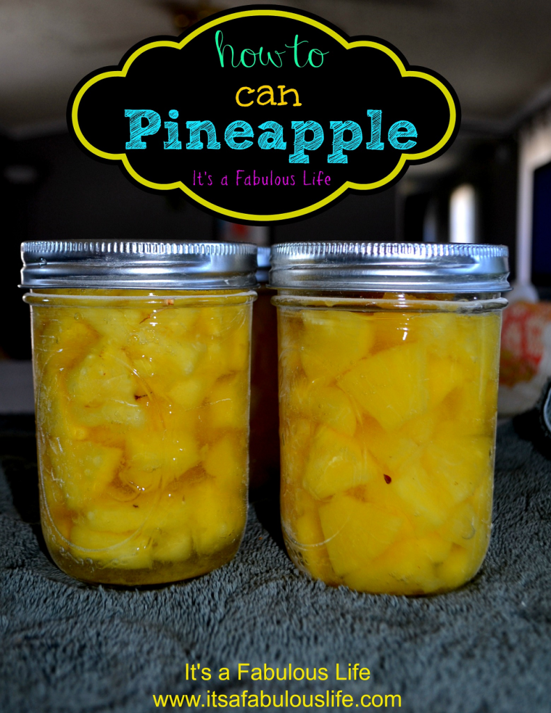 canned pineapple cover