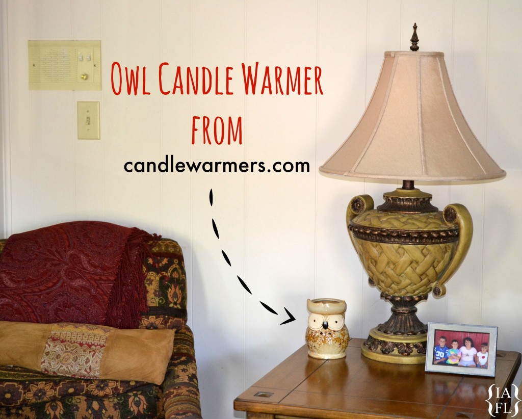 Owl Candle Warmer from candlewarmers.com