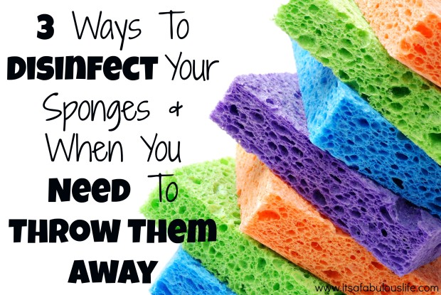 3 Ways to Disinfect Your Sponges and When Your REALLY Need To Throw Them Away