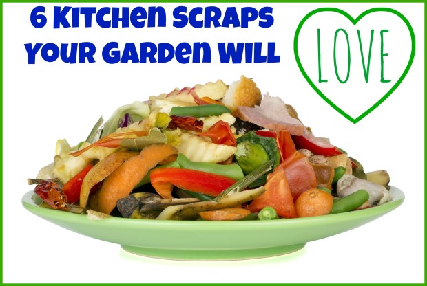 6 Kitchen Scraps Your Garden Will Love 