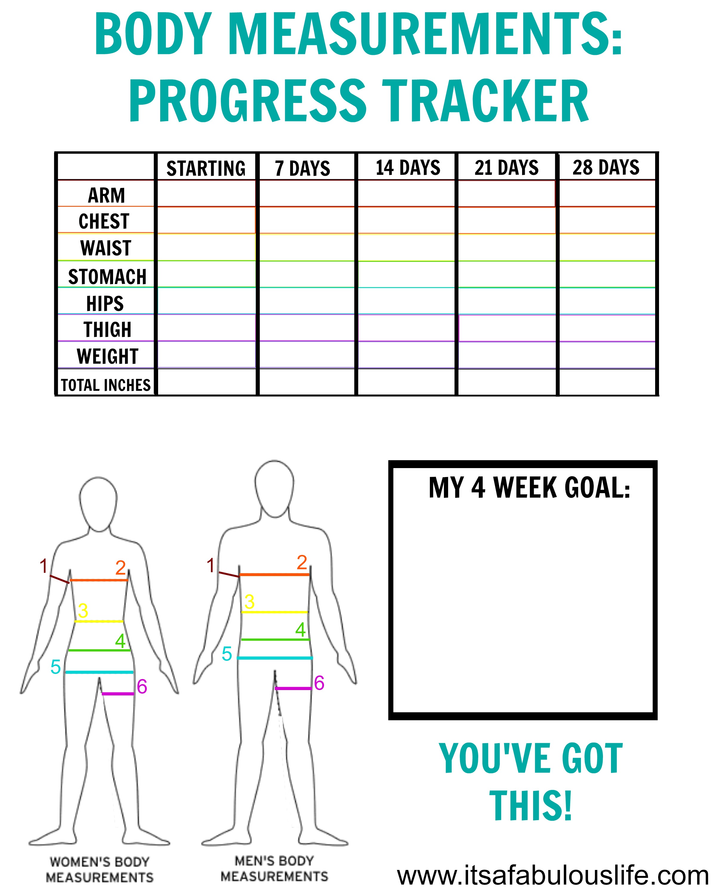 How To Take Your Body Measurements Free Printable Tracker