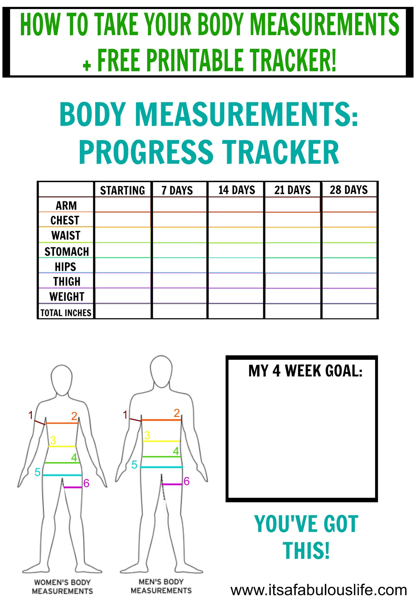 How To Take Your Body Measurements Free Printable Tracker
