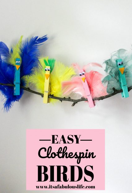 DIY Clothespin Birds: Crafts For Kids