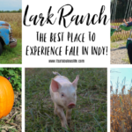 Lark Ranch - The Best Place To Experience Fall In Greenfield, Indiana