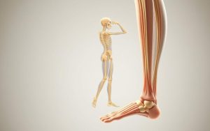 How to improve ligament health